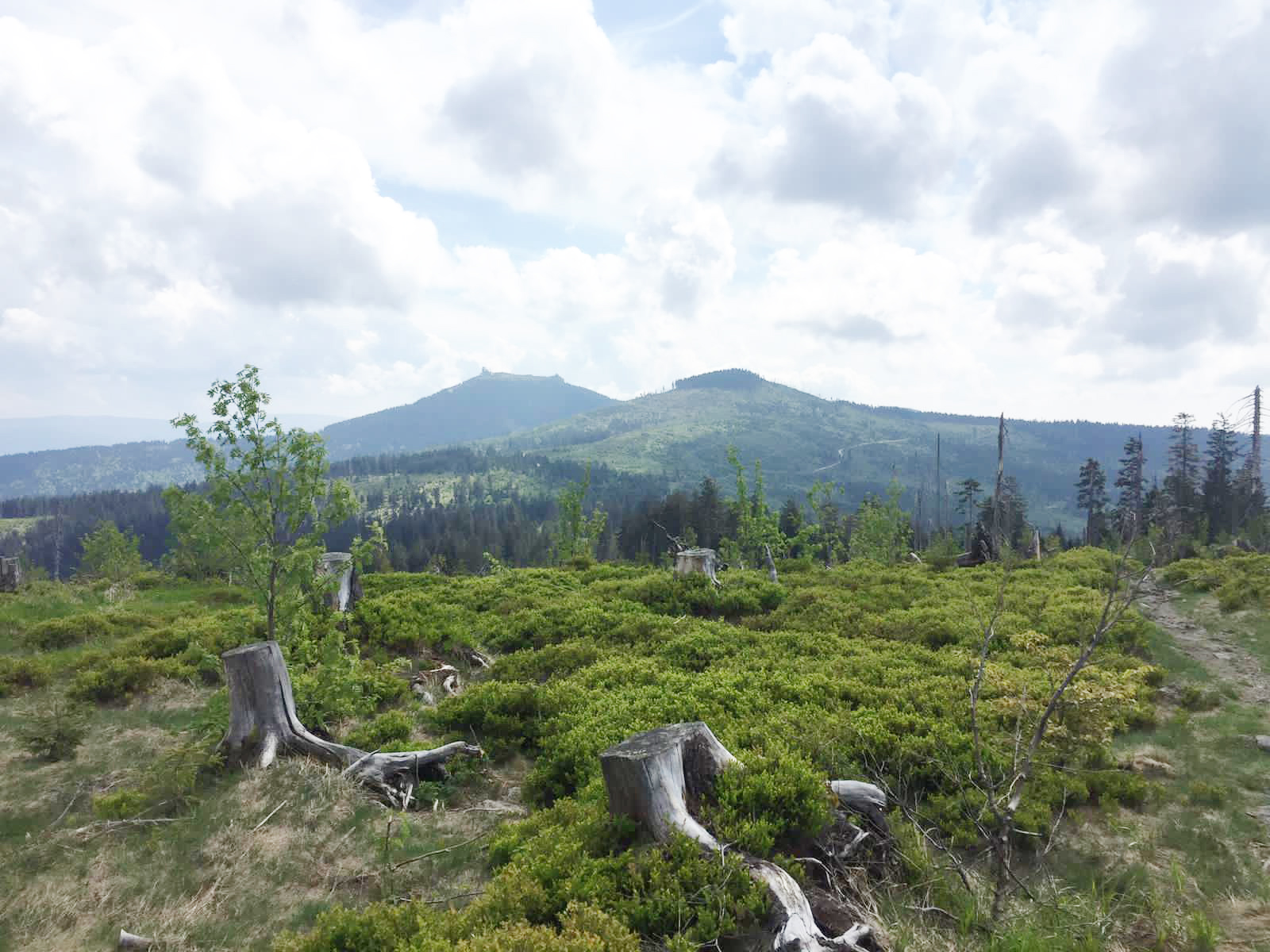 unterstein2-nationalpark